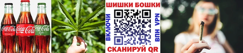 Купить где  Ковылкино  Canna-Cookies конопля 