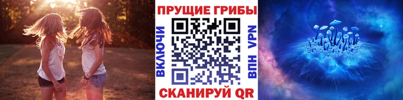 Галлюциногенные грибы GOLDEN TEACHER  Купить где  Ковылкино 