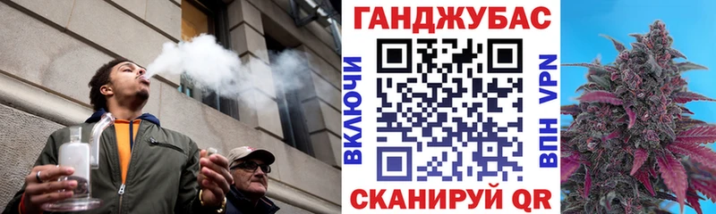 Купить закладки  Ковылкино  Бошки Шишки семена 